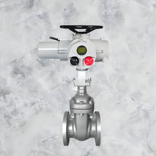 DN350 electric gate valve