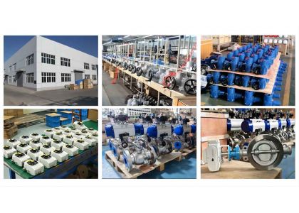 valve manufacturer