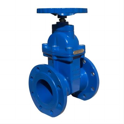 Gate Valve