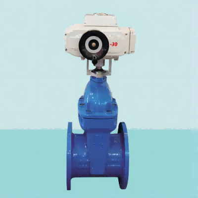 DN50-DN500 Flange ductile cast iron electric gate valve