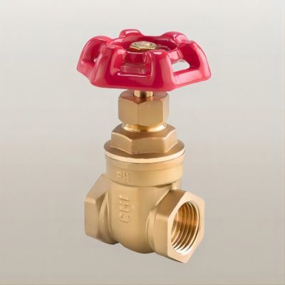  China Brass Gate Valve from Professional Brass Gate Valve Supplier