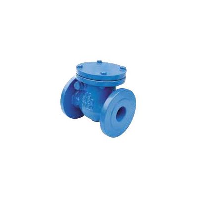 Check valve